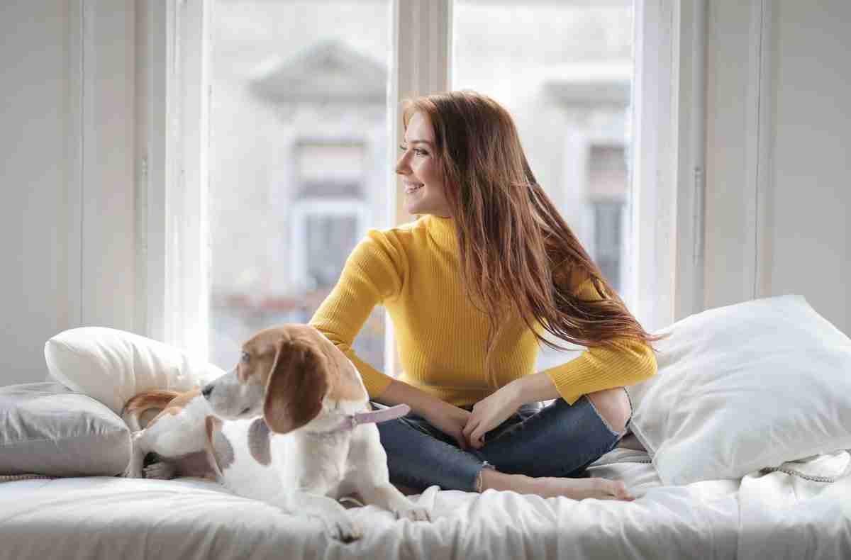 What Size Dog Bed Should You Buy for a Beagle? Guide)