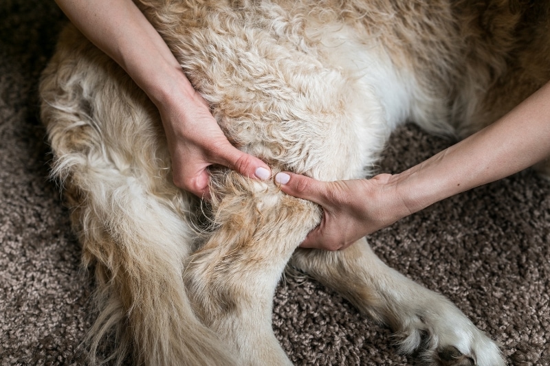 Massaging the Affected Leg