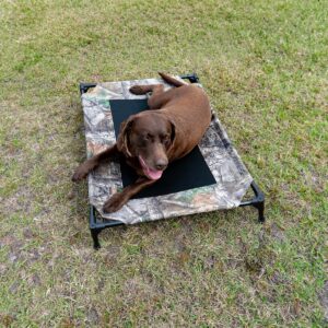 K&H Pet Products Original Elevated Dog Bed