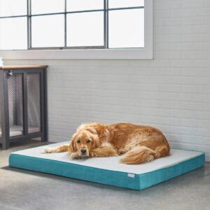 Frisco Cooling Orthopedic Pillow Dog Bed with Removable Cover