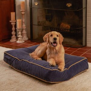 Happy Hounds Bailey Rectangle Pillow Dog Bed