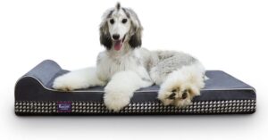 LaiFug Single Pillow Dog Bed