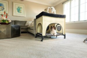 Petique Bedside Lounge Elevated Dog Bed