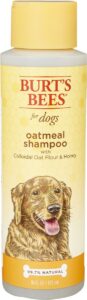 Burt's Bees Oatmeal Dog Shampoo