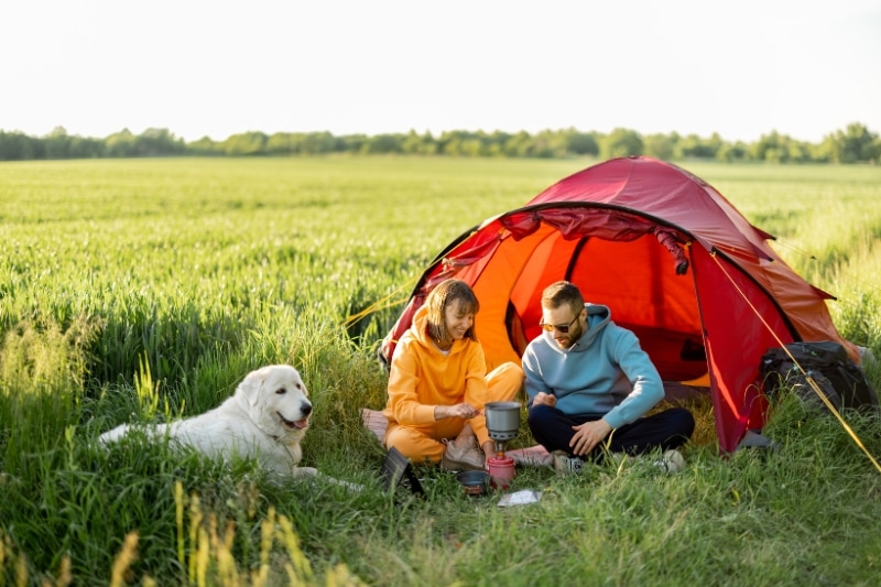 Features That Make a Tent Dog-Friendly