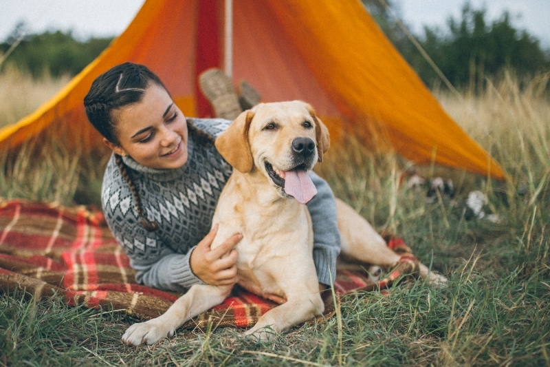The Importance of Durability in Dog-Friendly Tents
