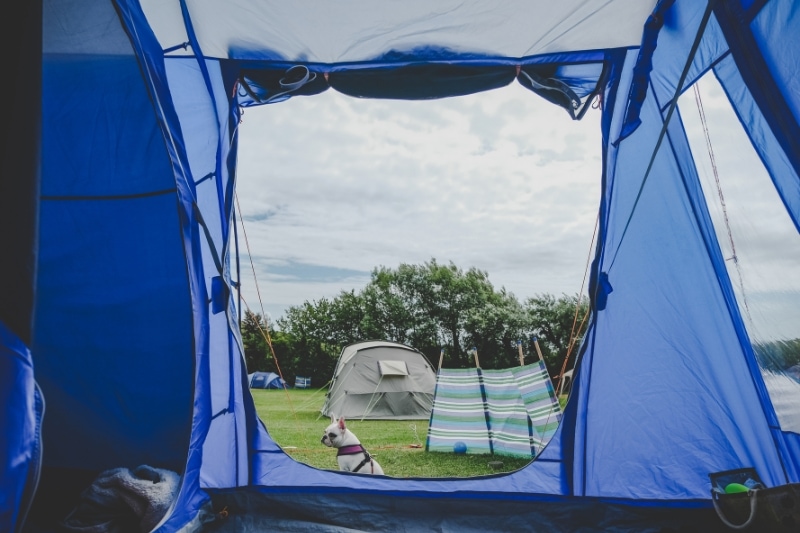 Types of Tents and Their Impact on Comfort and Security